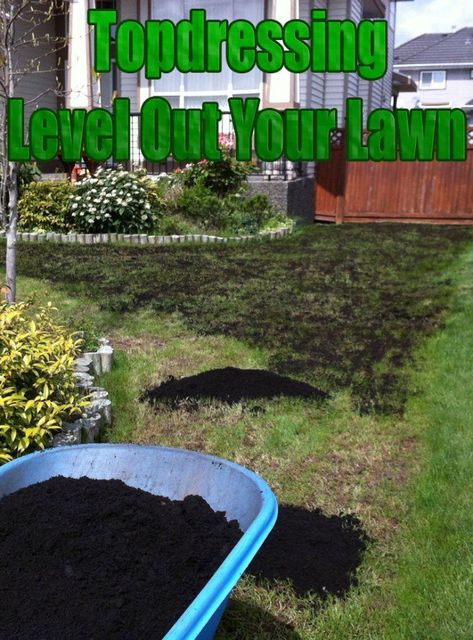 Leveling Lawn, Reseeding Lawn, Lawn Edging Ideas, Lawn Leveling, Lawn Ideas, Aerate Lawn, Diy Lawn, Lawn Care Tips, Lawn Mowing