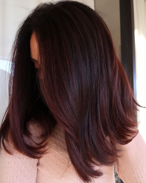 Color Hair Styles, Red Hair Ideas, Pelo Color Vino, Subtle Hair Color, Pink Brunette, Hair Color For Brown Skin, Brown Hair Looks, Wine Hair, Hair Tint