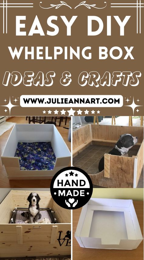 DIY Whelping Box Plans Welping Box, Luxurious Master Bedrooms, Dog Whelping Box, Dog Birth, Whelping Box, Newborn Puppies, Diy Dog Bed, Give Birth, Box Patterns