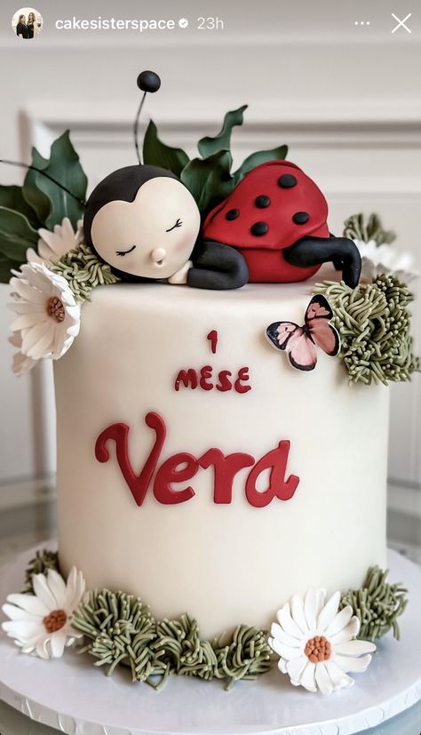 6months Birthday Cake, Ladybug Cake, Birthday Cake, Cake, Birthday, Quick Saves