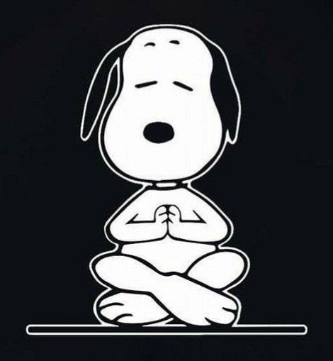 Snoopy Yoga, Yoga Pics, International Day Of Yoga, Yoga Pictures, Daily Holidays, Snoopy Love, International Day, June 21, Bedroom Diy