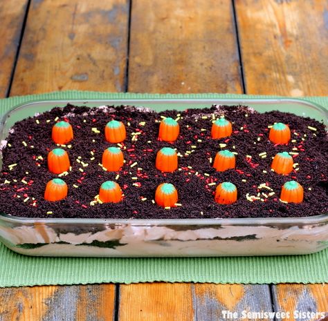 OMG! Double Chocolate Oreo Halloween Dirt Cake! Looks like a mini pumpkin patch! So adorable! Halloween Dirt Cake, Halloween Dirt, Dirt Cake Recipe, German Chocolate Cake Cookies, Easter Dirt Cake, Oreo Dirt Cake, Chocolate Pudding Cookies, Dirt Cake Recipes, Dirt Pudding