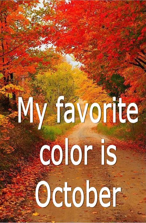 My favorite color is October October Is My Favorite Color, Autumn Quotes Inspirational, My Favorite Color Is October, Name Of Months, October Images, October Pictures, Fall Is My Favorite Color, New Month Wishes, Neuer Monat