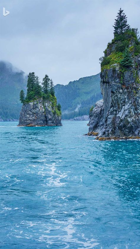 Ilmu Ekonomi, Alaskan Wilderness, Kenai Fjords National Park, Mountain Landscape Photography, Kenai Fjords, The Cove, Jimmy Carter, Mountain Photography, Beautiful Locations Nature