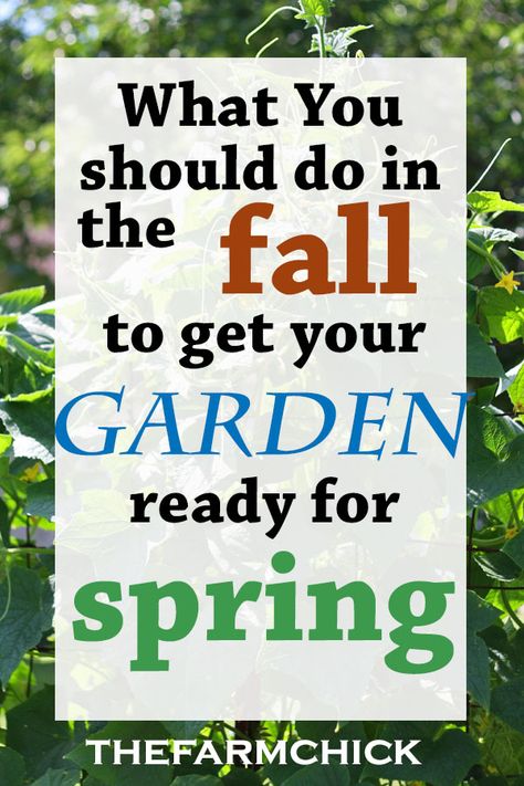 Prepping Your Garden for Spring Planting Fall Garden Prep, Fall Prep, Garden Prepping, Spring Planting, Organic Vegetable Garden, Garden Pest Control, Magic Garden, Spring Plants, Wildflower Garden