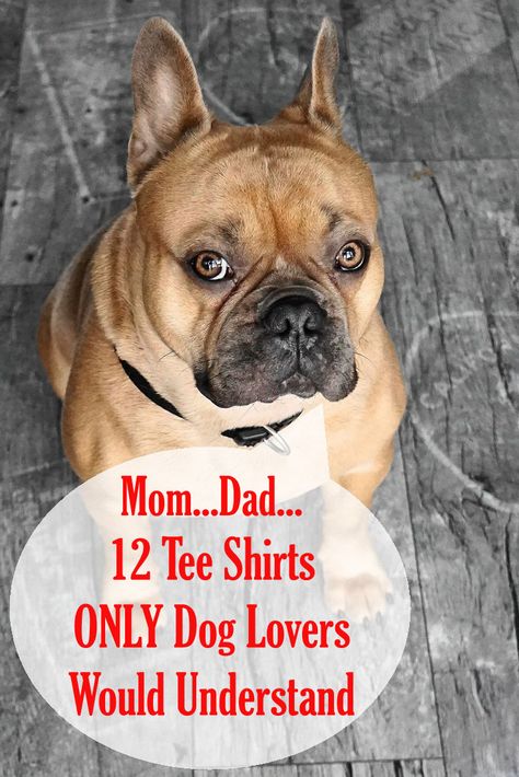 Discover 12 Tee Shirts ONLY Dog Lovers Would Understand | Fashion, t-shirts, shirts, tees, Simple outfit, Street #style #outfit Dog Tee Shirts, Dog T Shirts For People, Funny Dog Tshirts, Funny Dog Shirts, Dogs Tee, I Found You, Dog Shirt, Dog Tshirt, Street Style Outfit