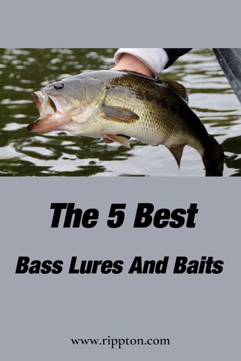 Fishing Knots Tutorials, Best Bass Lures, Kayak Fishing Accessories, Largemouth Bass Fishing, Topwater Lures, Fishing Rods And Reels, Bass Lures, Bass Fishing Lures, Fishing For Beginners