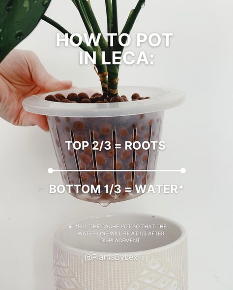 Lex - LECA & Houseplant Tutorials’s Instagram profile post: “Visual guide to potting plants in LECA Share to help a planty friend 💚 What plant have you recently potted in LECA? #leca #houseplants…” Leca House Plants, Leca Balls For Plants, Leca Plants, Potting Plants, I Wet My Plants, Household Plants, Plants Care, Plant Book, Plant Care Tips