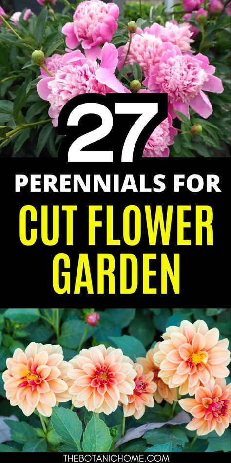 27 beautiful perennials perfect for cut flowers, showcasing vibrant blooms suitable for flower garden layouts and cut flower gardens. Flower Farm Layout, Sun Flower Garden, House Flower Garden, Garden Ideas In Front Of House, Small Garden Layout, Flower Garden Layouts, Perennial Garden Plans, Flower Garden Plans, Cut Flower Farm