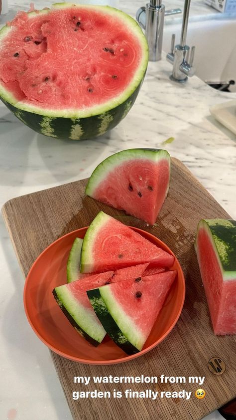 kylie jenner - ig story Kylie Jenner Garden, Kylie Jenner Food, Kylie Jenner Ig, Papaya Salad, Kardashian Jenner, Healthy Salads, Pretty Food, Ig Story, Papaya