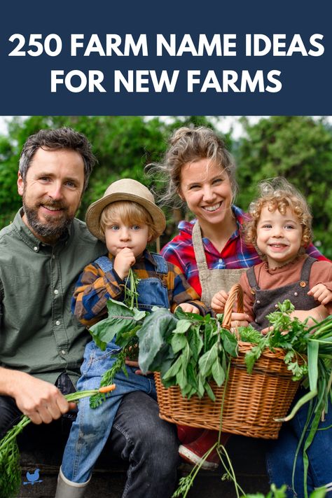 Just starting your farm, and want to find farm name inspiration? Check out our comprehensive list of 250 farm name ideas on the blog! Cute Farm Stand Names, Chicken Farm Names Ideas, Naming Your Farm, Homestead Names Ideas, Homestead Names, Farm Names Ideas, Farm Shop Ideas, Farm Names, Farm Market Ideas