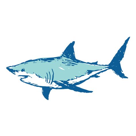 Illustration of blue shark PNG Design Shark T Shirts Design, Graphic Images For Tshirts, Graphic Shirt Design Illustrations, Ocean Logo Design Ideas, Graphic Tees Design Prints Png, Shark Graphic Design, Shark Tshirts, Graphic Tees Design Prints, Shark Png