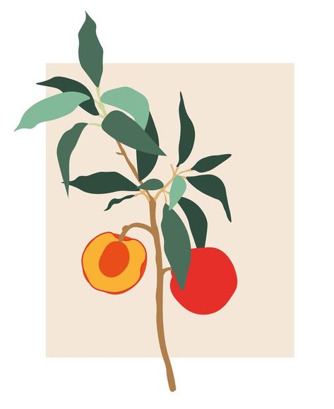 Peach Branch Illustration, Peach Tree Illustration, Peach Tree Drawing, Peach Branch, Ar Design, Fruit Market, Peach Tree, Tree Graphic, Peach Trees