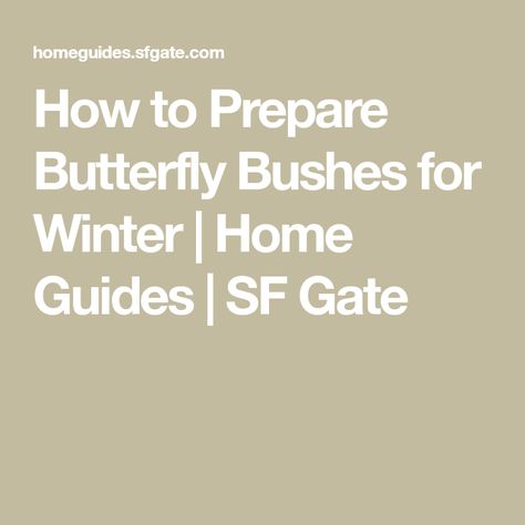 How to Prepare Butterfly Bushes for Winter | Home Guides | SF Gate Butterfly Bush Care, Butterfly Bushes, Butterfly Tree, Butterfly Plants, Technology Photos, Overwintering, Zone 5, Butterfly Bush, Winter Home