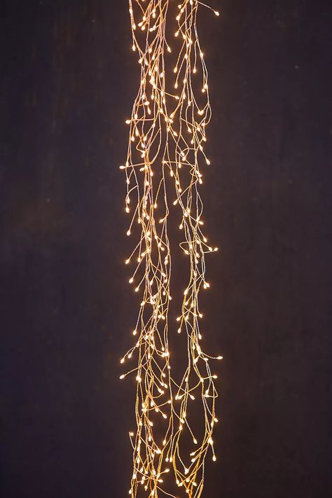 Stargazer Cascade Falls | Anthropologie Cascade Falls, Hanging Christmas Lights, Sparkling Lights, Decorative Lighting, Bhldn Weddings, Creative Living, Hand Poured Candle, Christmas Mood, Christmas House