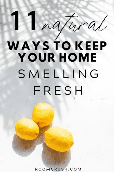 How to make your smell fresh and clean with that natural clean house smell Deodorize House, Clean House Smell, Smell Fresh And Clean, Boil Lemons, Simmer Pot Recipes, Smelling Good, House Smell Good, Natural Air Freshener, Room Freshener