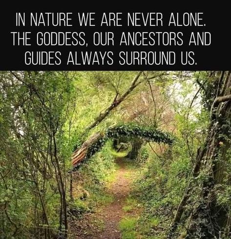 Pagan Quotes, Pagan Nature, Sweet Magic, Never Alone, Spiritual Life, Mother Nature, Good Day, Something To Do, Spirituality