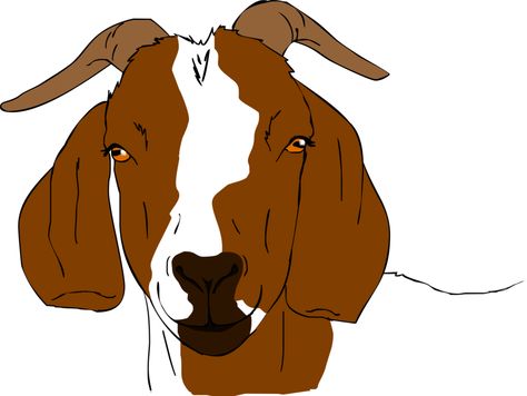 boer goat clip art | Boer Goat Drawings http://tha-baist.deviantart.com/art/Boer-Goat ... Goat Drawings, Airplane Silhouette, Fireworks Pictures, Goat Head, Boer Goats, Cake Templates, Cow Pictures, Girl Silhouette, Baby Goats