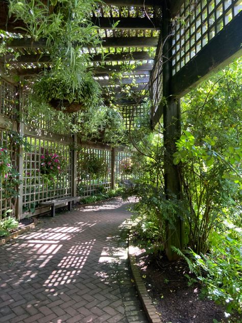 Botanical Garden Layout, Community Garden Architecture, Botanical Garden Aesthetic, Garden Hangout, Earthy Core, Chicago Garden, Gilroy Gardens, Botanic Park, Brooklyn Botanical Garden