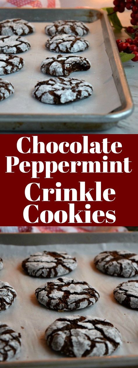 Chocolate Peppermint Crinkle Cookies Pinterest Pin #cookies #christmascookies #chocolate Chocolate Peppermint Crinkle Cookies, Peppermint Crinkle Cookies, Chocolate Crinkle Cookie, Chocolate Crinkle Cookies Recipe, Chocolate Marshmallow Cookies, Chocolate Chip Shortbread Cookies, Crinkle Cookies Recipe, Chocolate Crinkle, Chocolate Crinkle Cookies