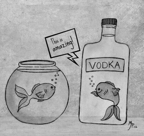 Pickled fish Travel Outfit Spring, Scuba Diving Quotes, Humor Mexicano, Cool Drawings, Make You Smile, Funny Images, Vodka Bottle, Vodka, Funny Jokes