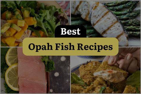 Discover the tastiest opah fish concoctions! Dive into our top picks and take your culinary skills to new depths with these lip-smacking opah fish recipes. Opah Fish, Baked Cabbage Recipes, Microwave Chicken Recipes, Pasta With Onions, Baked Cabbage, Recipe Web, Aioli Recipe, Healthy Vegetable Recipes, Greek Dishes