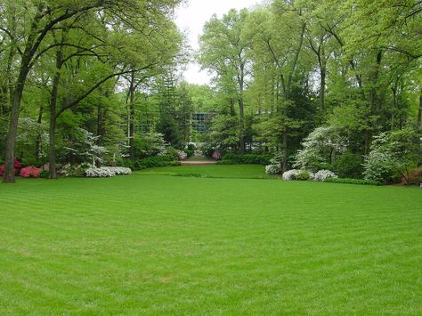 Mansion Backyard Garden, Big Garden Design Landscaping, Huge Backyard Garden, Big Back Garden, Dream Garden Modern, Large Garden Landscaping, House With Big Garden, Large Garden Design, Natural Landscape Design