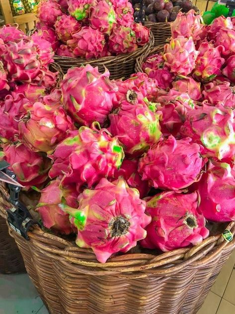 Dragon Fruit Wallpaper Aesthetic, Buah Naga Aesthetic, Rasberries Aesthetic, Pink Fruit Aesthetic, Dragon Fruit Photography, Pitaya Aesthetic, Dragonfruit Aesthetic, Dragon Fruit Aesthetic, Grow Dragon Fruit