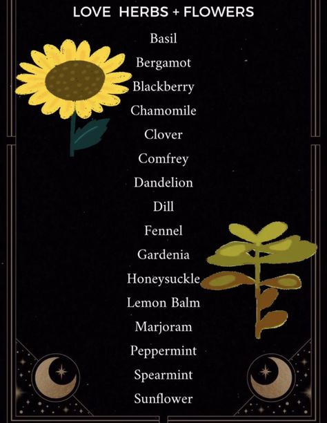 Herb Magick, Magick Herbs, Magickal Correspondences, Simmer Pots, Dandelion Leaf, Food Magic, Witch Tools, Witch Herbs, Social Media Website