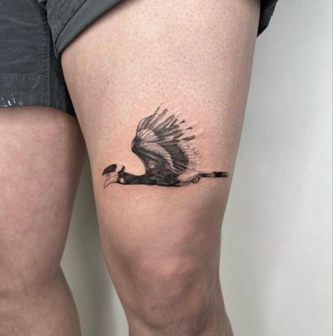 Hornbill Tattoo, Friend Tats, Tattoo Parlor, Tattoo Parlors, Jack And Jack, Pet Portraits, Cool Tattoos, Tatting, Tattoos