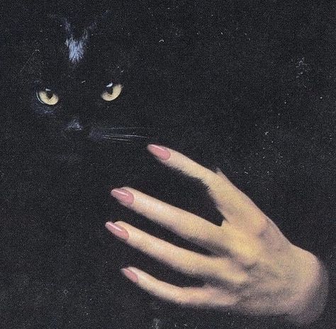 Cat In The Dark, Arte Pulp, Katt Grejer, Baba Jaga, Catty Noir, A Black Cat, Season Of The Witch, Witch Aesthetic, Witchy Woman