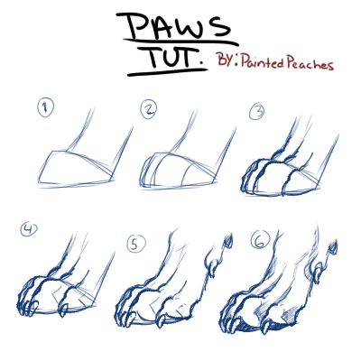 Drawing Paws, Hand Paws Reference, Dog Paws Drawing Reference, Animal Tutorial, How To Draw Wolf Paws, Wolf Body Reference, Canine Paws Reference, Wolf Paws Drawings, Animal Art Tutorial