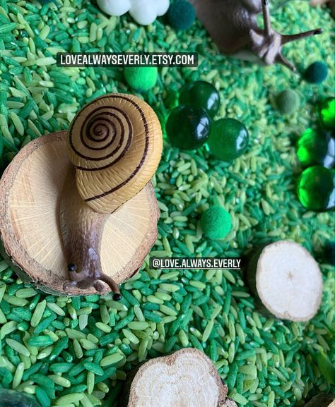 Snail Sensory Play, Snail Life Cycle, Sensory Kits, Sensory Games, Sensory Boxes, Play Therapy, Small World Play, Montessori Toddler, Toddler Learning