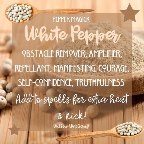 Red Pepper Witchcraft, White Rice Witchcraft, Pepper Magical Properties, Peppermint In Witchcraft, Black Pepper In Witchcraft, Peppercorn Magical Properties, Magical Herbs Witchcraft, Money Candle Spell, Herbal Witch