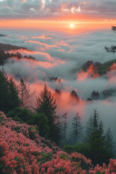 Forest Sunset, Soft Heart, Foggy Morning, Strong Mind, Autumn Aesthetic, Blue Aesthetic, Nature Pictures, Sunrise Sunset, Beautiful World