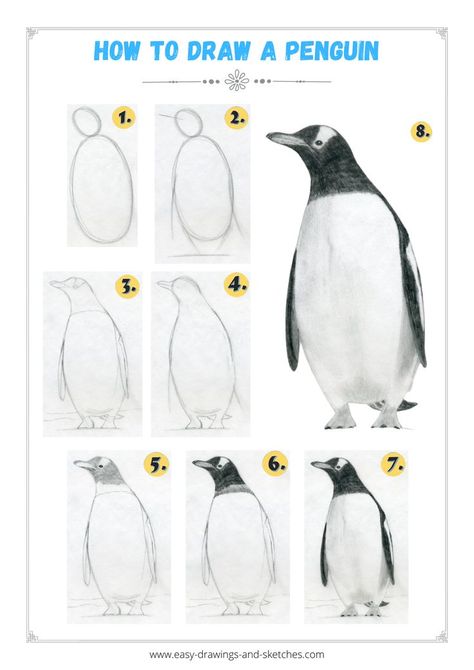 Penguin Sketch Realistic, Drawing A Penguin, Penguin Drawing Tutorial, Penguin Pencil Drawing, How To Paint A Penguin, Penguin Drawing Easy Step By Step, How To Draw A Bird Step By Step Easy, How To Draw A Penguin Step By Step, How To Draw Penguin