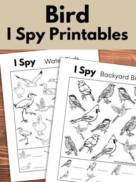 Parts Of A Bird Worksheet Free Printable, Bird Activities For Kids, Bird Printables, Weekly Themes, Core Knowledge, Farm School, Nature School, Bird Free, Bird Theme