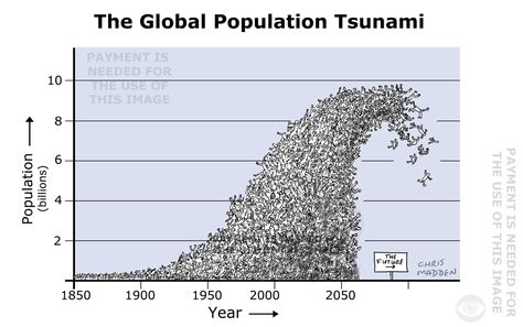 population-explosion-graph-cartoon-(madden, 2016) Population Growth Illustration, Over Population, Population Explosion, Population Density Map, Global Population, Year 2000, Physics, Quick Saves