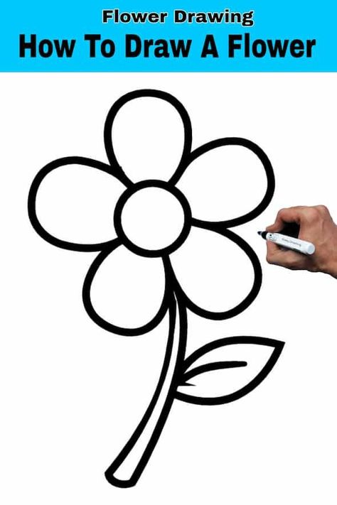 How To Draw A Flower Flowers Drawing Easy Step By Step, Daisies Drawing Simple, Small Flower Drawing Easy, Colour Flower Drawing, Easy Flower Drawings For Kids, Flower Drawing With Color, Small Flower Drawing, How To Draw A Flower, Draw A Flower Easy