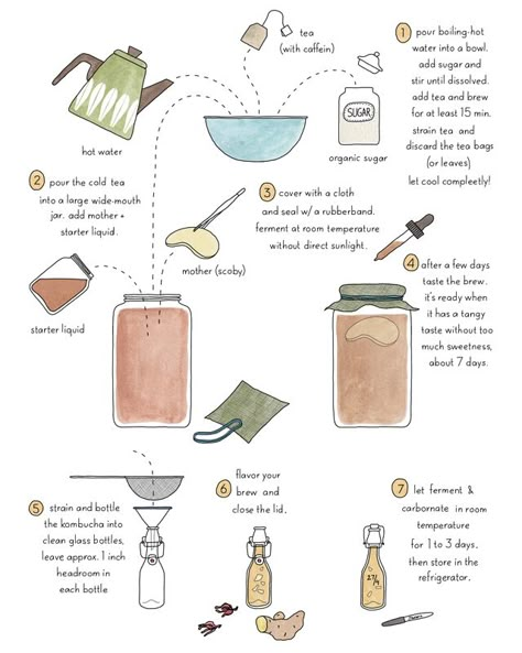 KOMBUCHA RECIPE | JOHANNA KINDVALL Kumbacha Recipe, Kombucha Mother, Diy Kombucha, Kombucha Brewing, Kombucha Recipes, Kombucha Flavors, Ginger Bug, Kombucha Scoby, Healthy Soda