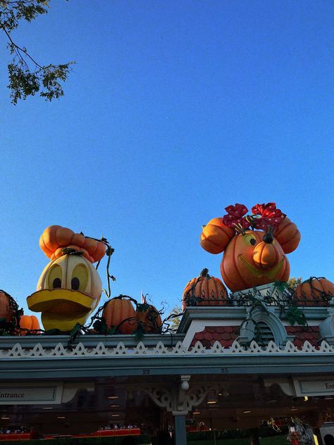 Disneyland Halloween 2024, Disney Autumn, Spooky Disney, Fall Widgets, Fall Disney, Disneyland Aesthetic, Fall Szn, Disney World Halloween, Holiday Wallpapers