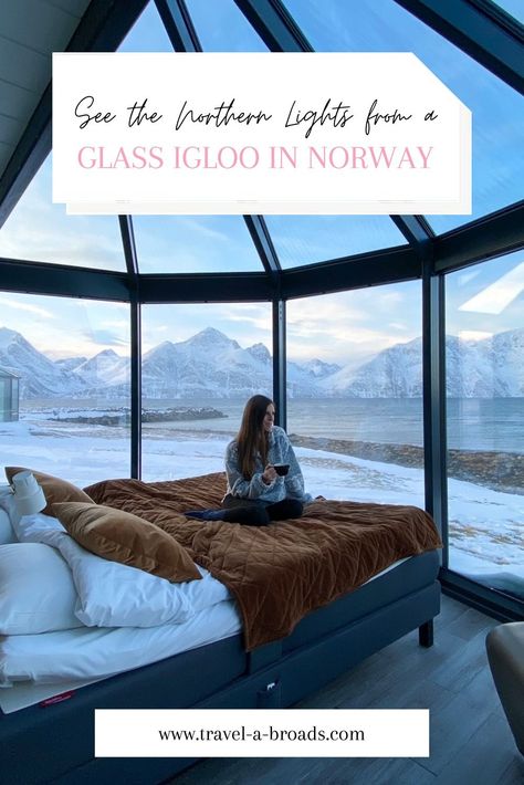 enjoying my view from my 180 degree glass igloo at Lyngen North Igloo Northern Lights, Glass Igloo Northern Lights, Northern Lights Hotel, Igloo Hotel, Things To Do In Norway, Glass Igloo, Norway Vacation, Norway Trip, Northern Lights Viewing