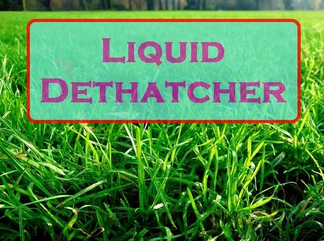 Liquid dethatcher is easy to use, but do they really work? They contain extra bacteria that are already in your soil so why add more? Learn about thatch. How To Dethatch Your Lawn, Green Lawn Tips Yards, How To Aerate Your Lawn Diy, Grass Fertilizer Green Lawn, Dethatching Lawn, Tonic Recipe, Healthy Lawn, Lush Lawn, Soil Health