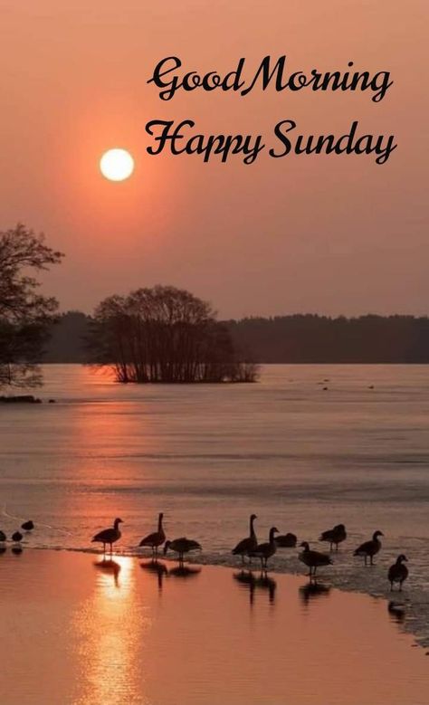 Sunday Morning Wishes Beautiful, Sunday Morning Pics, Sunday Status, Sunday Morning Wishes, Good Morning Wishes Friends, Good Morning Sun, Good Morning Monday Images, Monday Images, Good Morning Happy Sunday