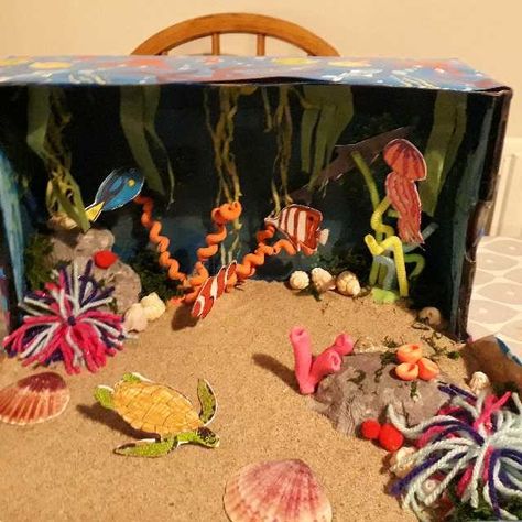 Coral reef shoe box diorama Animal Diorama, Shoe Box Diorama, Habitat Diorama, Ocean Diorama, Diorama Kids, Ecosystems Projects, Habitats Projects, Ocean Habitat, Ocean Projects