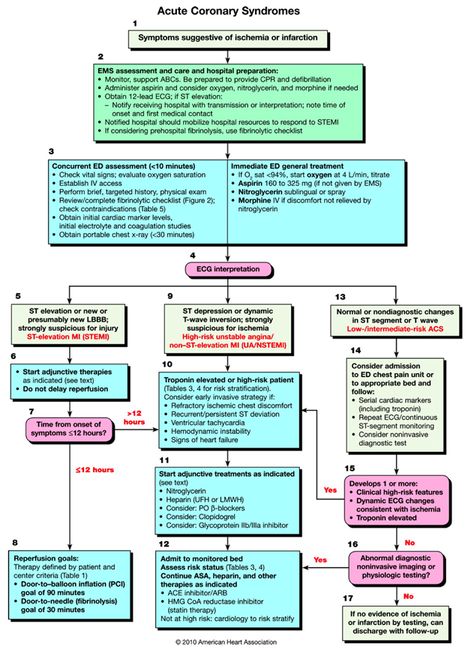 STEMI Alert! Rapid Response to Acute Myocardial Infarction || National Center of Continuing Education Acute Coronary Syndrome, Nursing Information, Nursing Mnemonics, Cardiac Nursing, Critical Care Nursing, Emergency Nursing, Nursing Tips, Emergency Medicine, Nursing Study