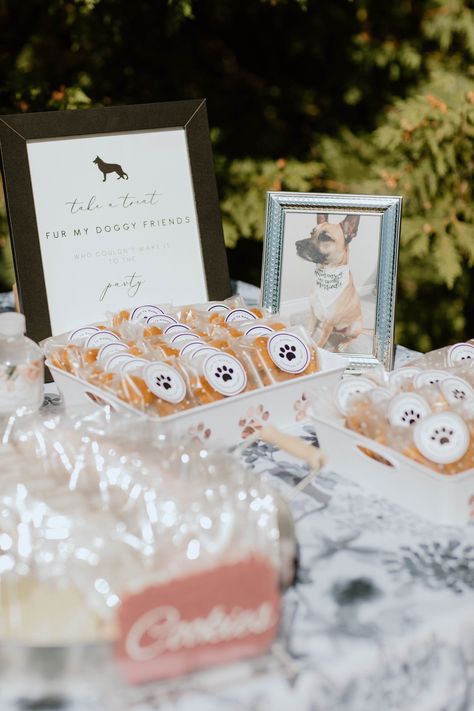 Dog Table At Wedding, Dog In A Wedding, Dogs Included In Wedding, Dog Involved In Wedding, Incorporating Pets In Wedding, Wedding Dog Treats, Wedding Dog Pictures, Dog Included In Wedding, How To Include Your Dog In Your Wedding