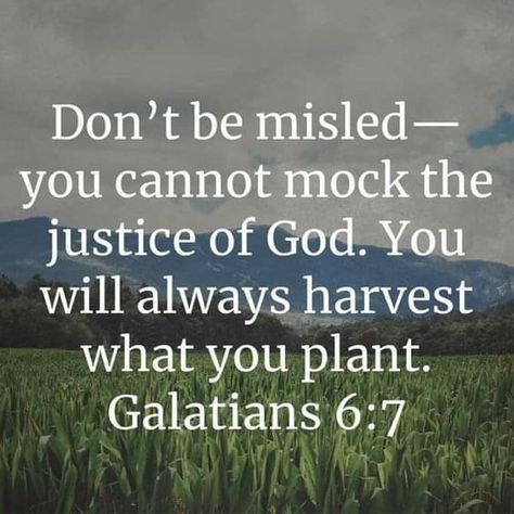 Galatians 6:7 Galatians 6 7, Hebrews 13 8, Bible Verses About Faith, The Justice, Christian Bible Verses, Bible Teachings, Inspirational Bible Quotes, Bible Verses Quotes Inspirational, Biblical Quotes