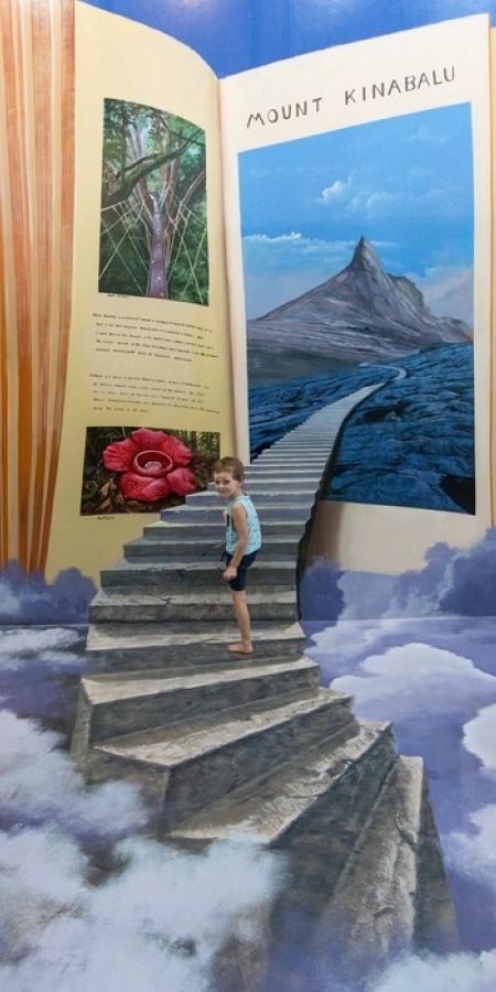 3d Art Museum, Langkawi Malaysia, 3d Painting, Tropical Island, Diy Art Painting, Pics Art, Art Display, Asia Travel, Book Crafts