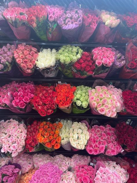 #flowers #costco #colors Costco Aesthetic, Costco Flowers, Flower Core, Plants Aesthetic, Luxury Flower Bouquets, Boquette Flowers, Happy Me, Flower Gift Ideas, Flowers Bouquet Gift